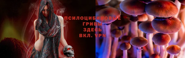 ешки Арсеньев