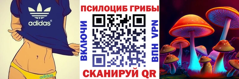 закладки  blacksprut ССЫЛКА  Галлюциногенные грибы GOLDEN TEACHER  Слободской 
